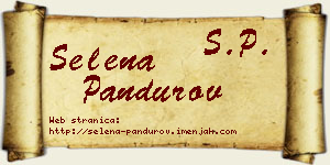 Selena Pandurov vizit kartica